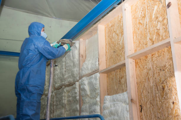 Best Professional Insulation Contractor  in Beaver Dam Lake, NY
