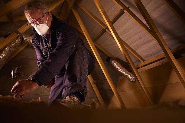 Best Insulation Contractors for Homes  in Beaver Dam Lake, NY